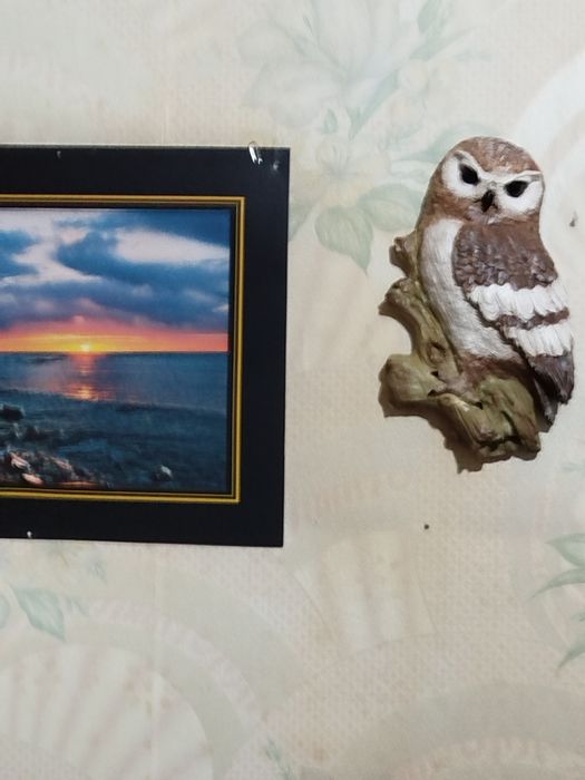 Панно Сова Букля