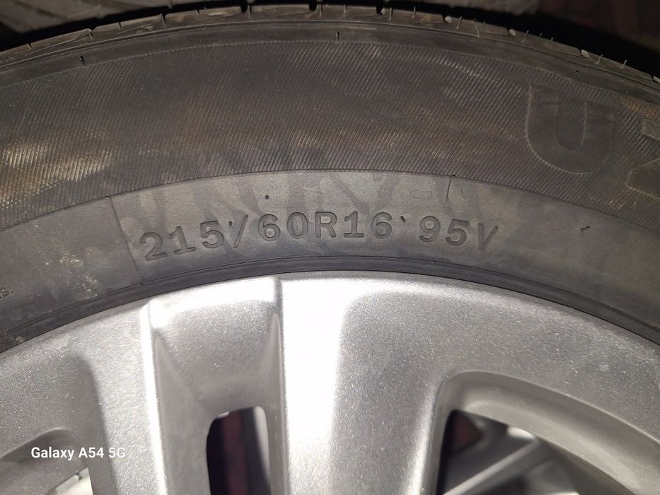 Tracker argnal diska bolon