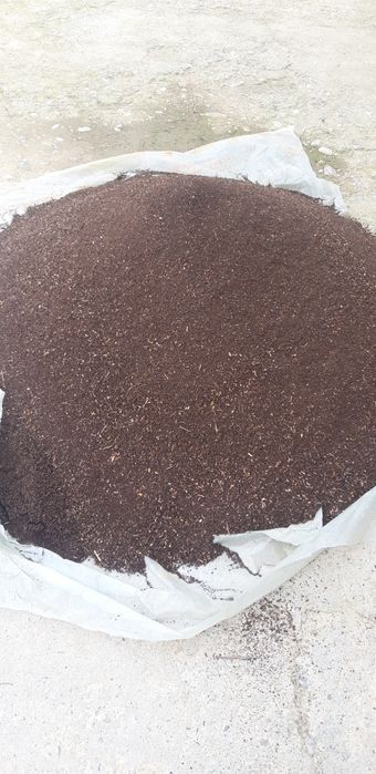 Biogomus sotiladi biogumus