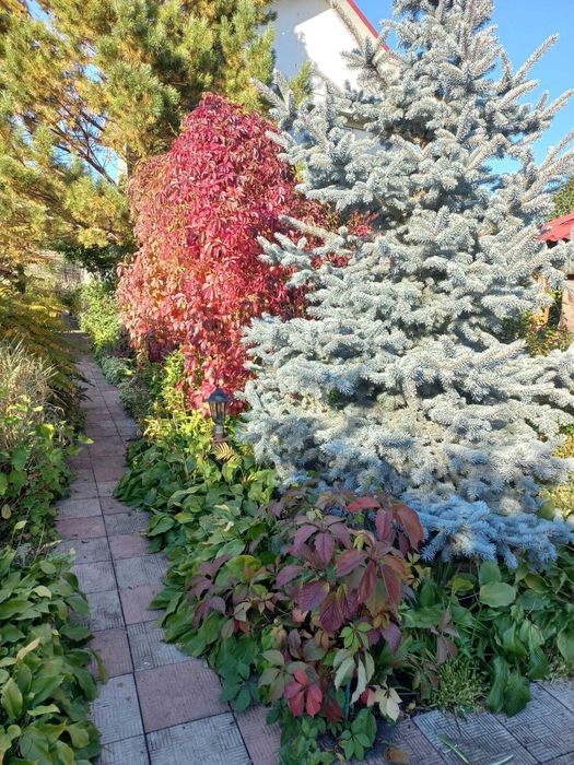 Продам дачу С/О "Восток"