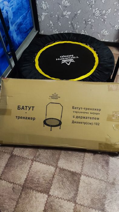 Батут-тренажер Triumph nord