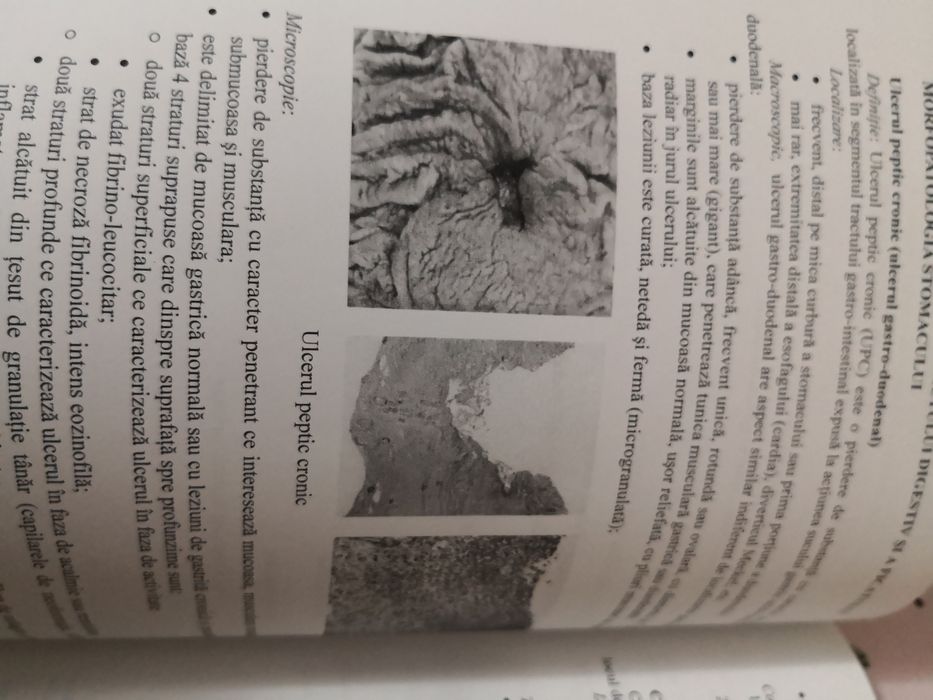 Morfopatologie UMF - asistenti medicali