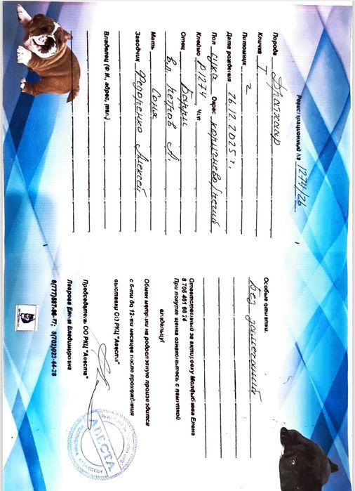 Продам щенка Дратхаар