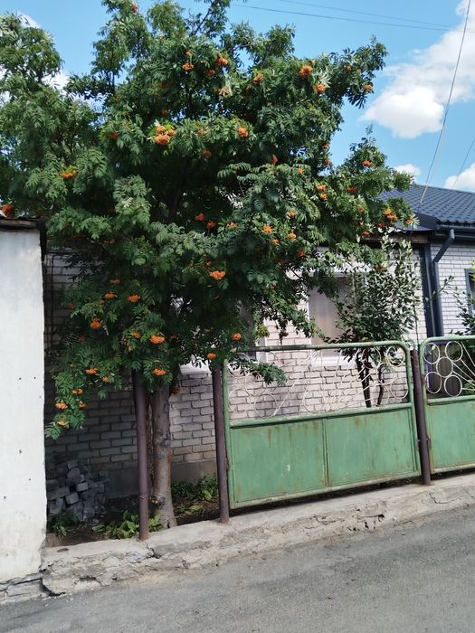 Продам дом в центре города