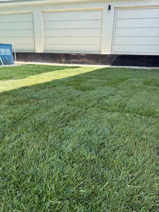 Gazon ekish xizmati tayyor rulon