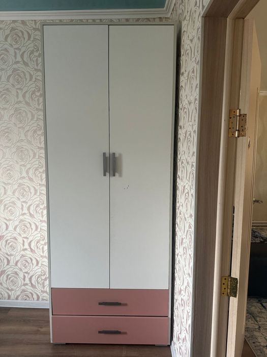 Детский шкаф с двумя дверми