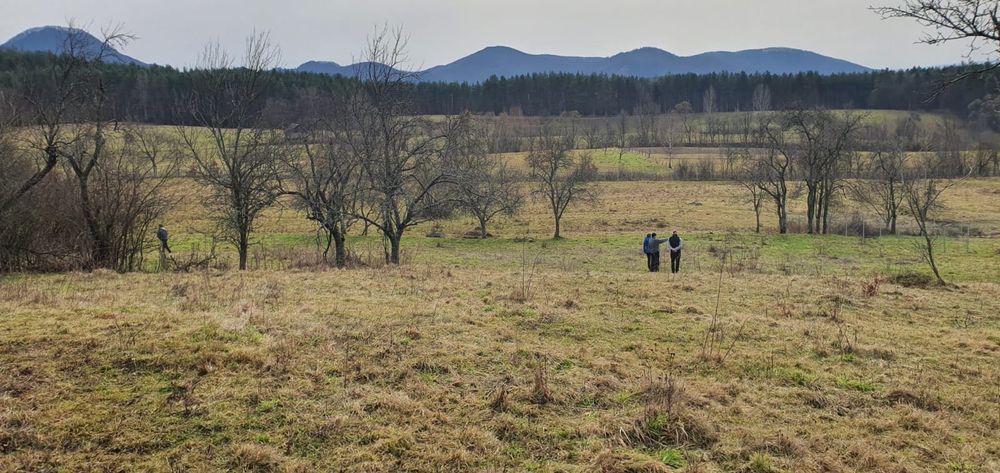Teren Intravilan, teren agricol pădure   în Hărțăgani peisaj frumos