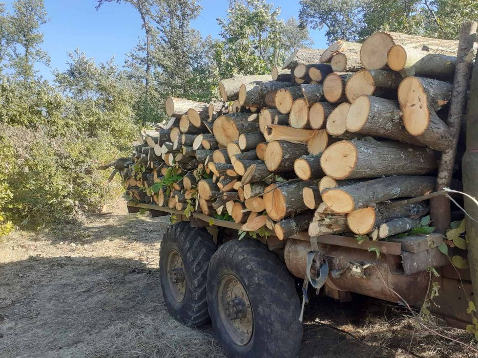 Дърва за огрев нарязани и нацепени и в чували