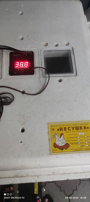 Инкубатор "Несушка"