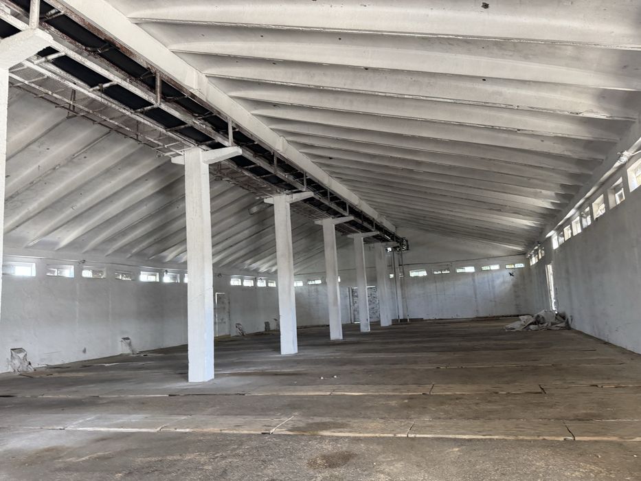 Fermă-Bază- depozit cereale- de vanzare- Barlad- Banca - Vaslui