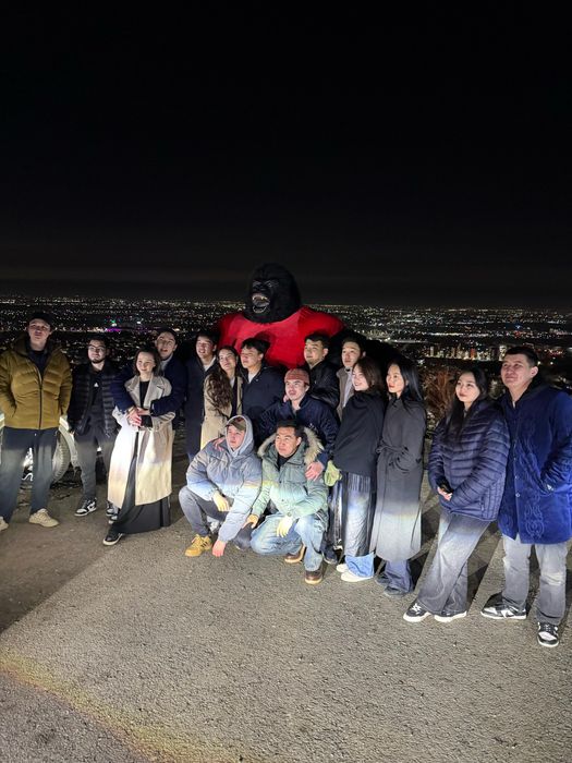 Хит горилла Кинг Конг прокат костюм аниматором