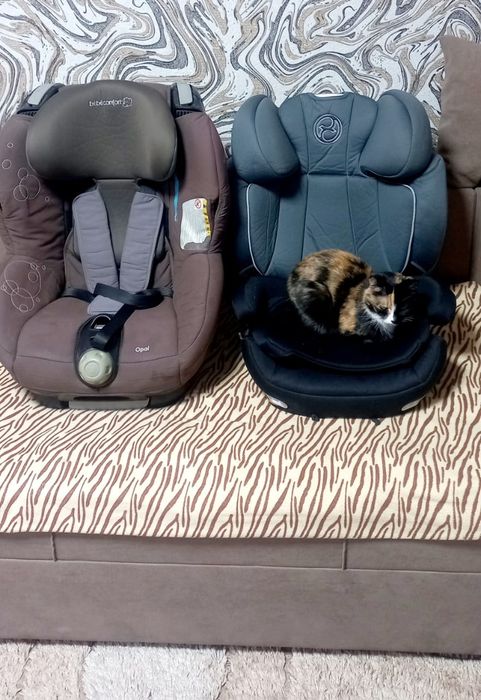 Автокресла для малышей