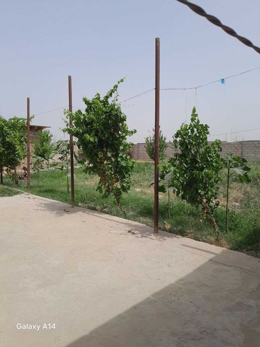 Termiz tumani dostlik maxallasida 7 sotih yer 4 hona uy sotivda