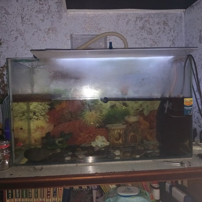 Аквариум для рыбок