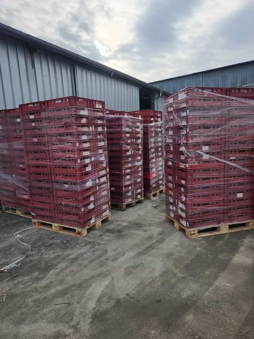 Палети ,каси, гитербокс, купувам/продавам , гр.Ямбол и региона