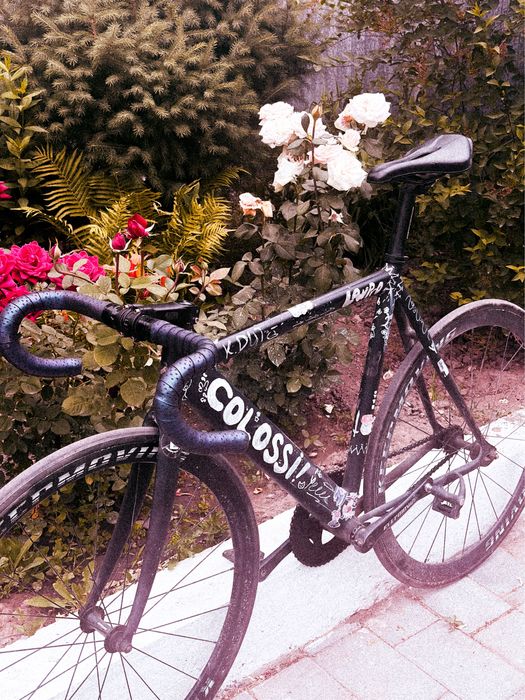 Фикс Colossi Lowpro