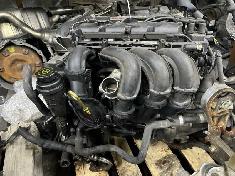Двигатель Ford Focus 1.6 SHDA