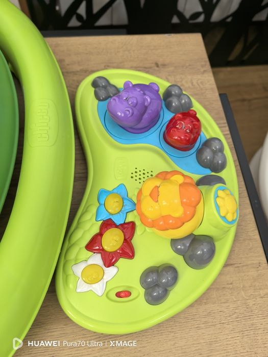 Проходилка Chico