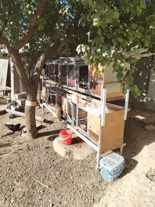 Продаётся домик для кроликов и т. п.,  обл. АВИР,  от Сельхоза 2 км