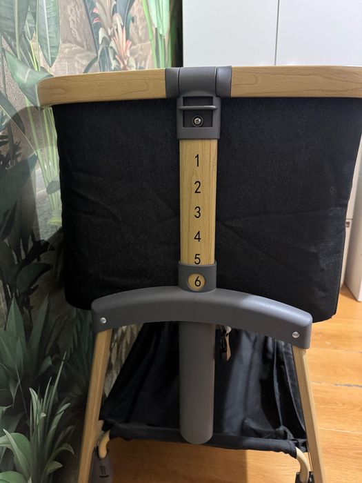 Next to me cangaroo Amo