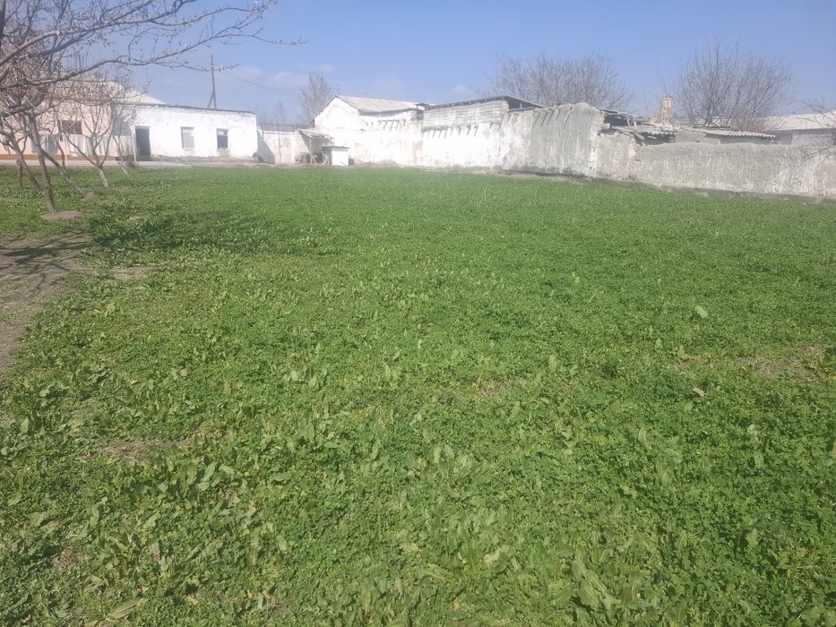 Yer uchastka 10 sotix