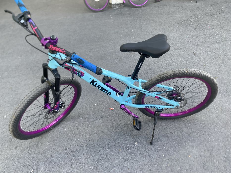 Вилик стант голубой