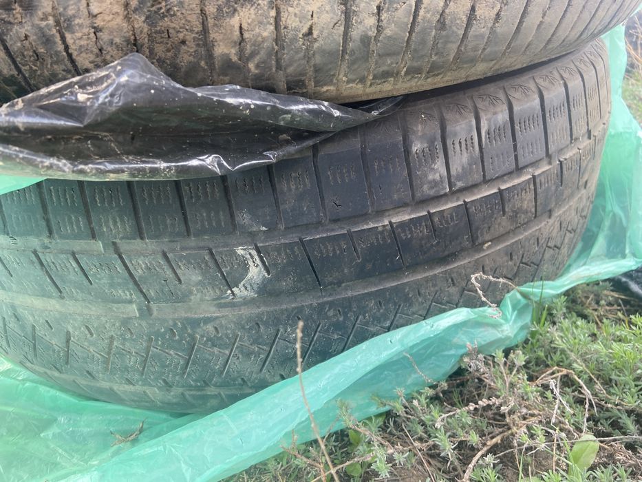 Покрышки летние R19