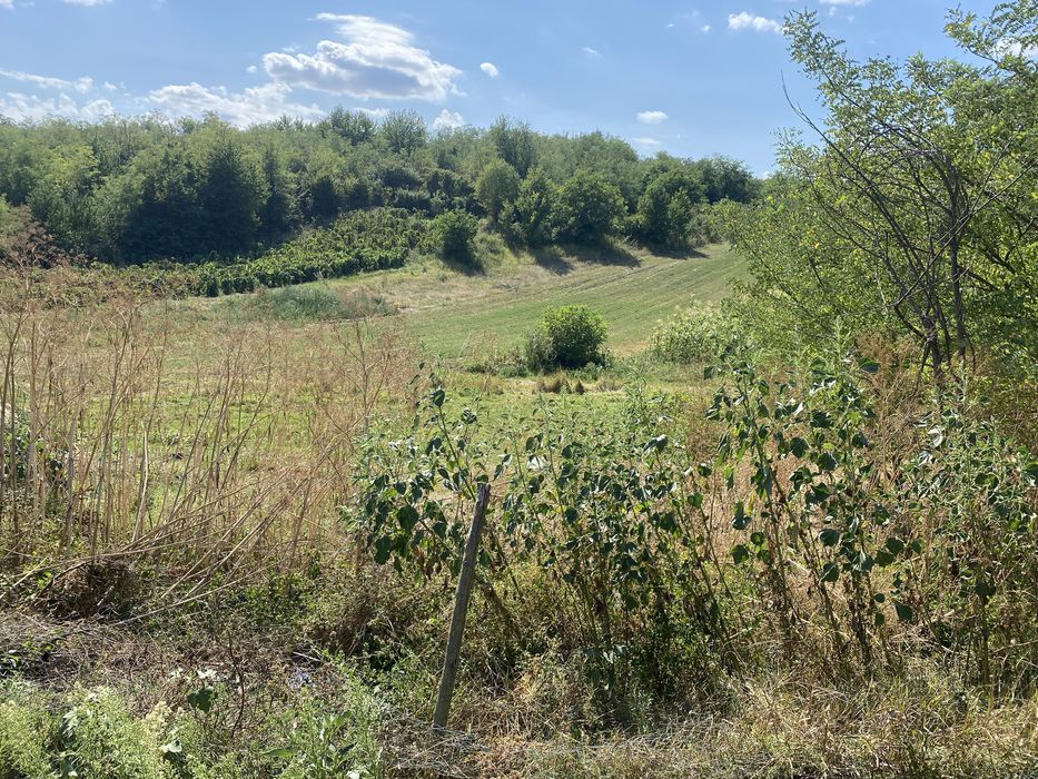 Casa batraneasca de vanzare