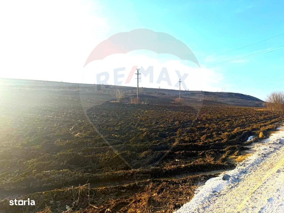 Teren 4.956mp Letea Veche / Calea BARLADULUI