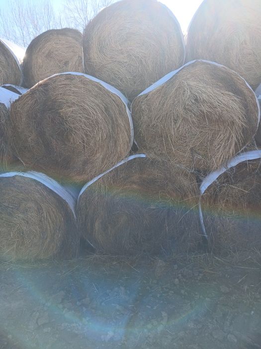 Vand baloti Fân si Lucerna