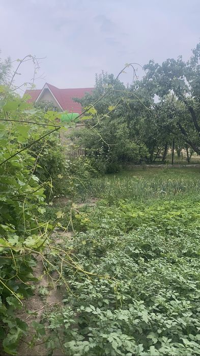 Шикарный дом в бурундае