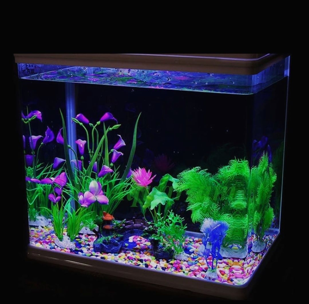 Флуоресцентный аквариум