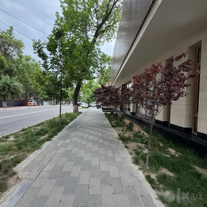 Продается отдельно стоящее здание, ориентир: ул. Педагогическия, 270м²