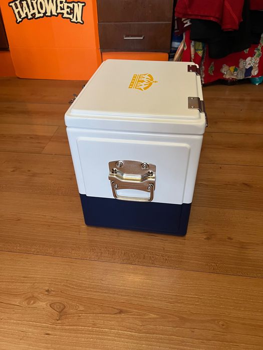 Lada frigorifica metal Corona portabila