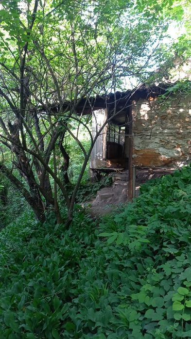 Сдам дачу в аренду