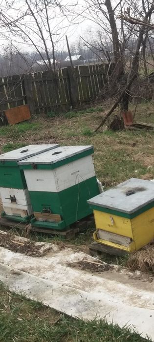 Vând stupi multietajati 3/4