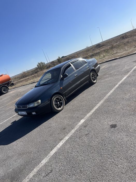 Карина Е, Продам