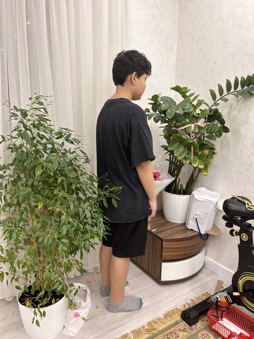 продам домашние цветы высота1,50