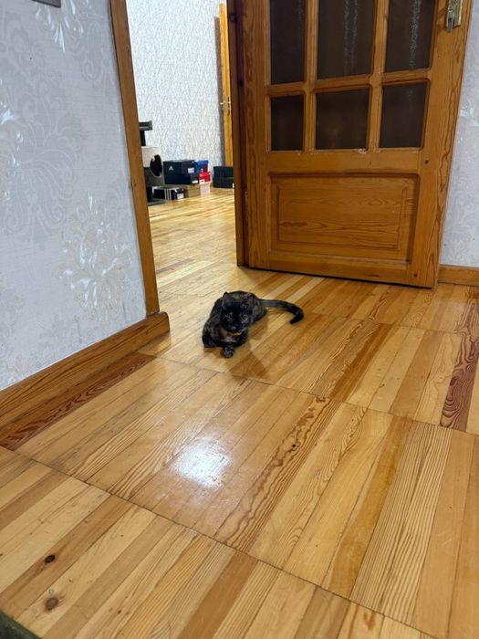 Отдам в добрые руки ангелочек