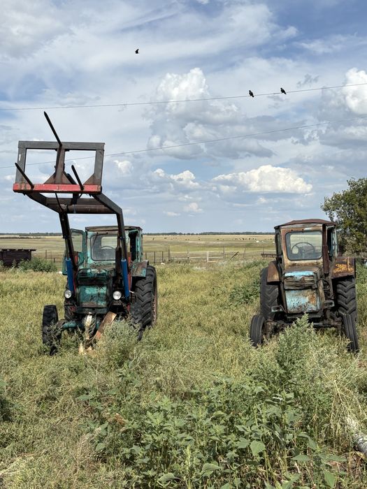 Продам дом с хозяйством
