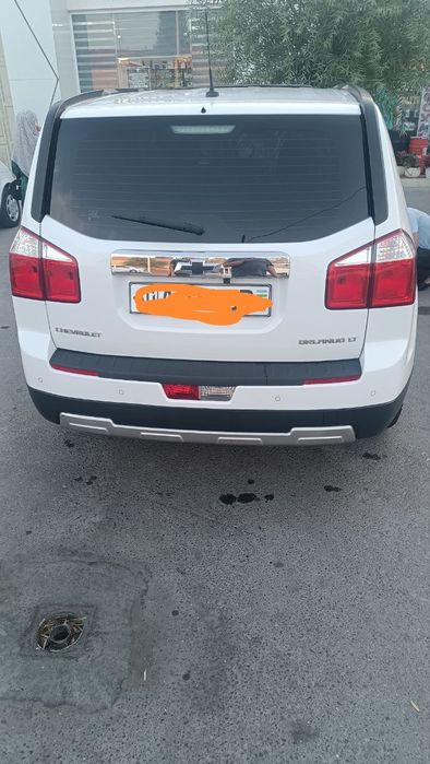 Orlando 2pazitsa lyuki bor