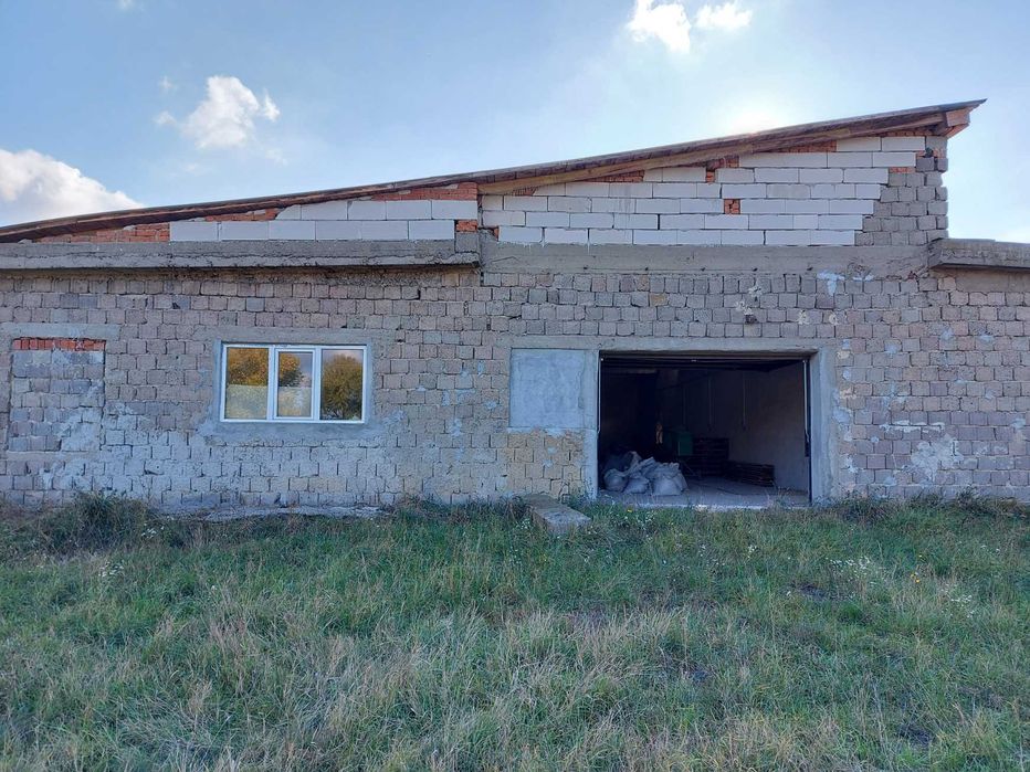 Hala 450  mp,teren 3000 mp la 35 km de vama Petea cu Ungaria