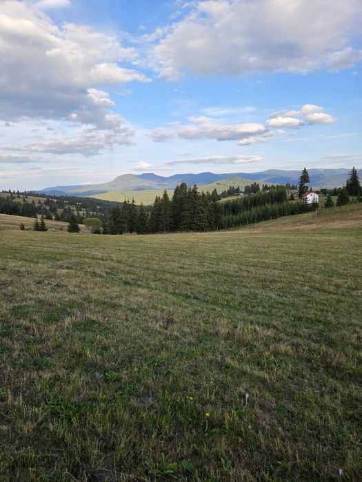 Teren Piatra Fântânele pasul Tihuta