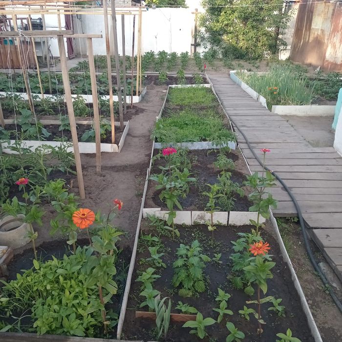 Продам дом в районе Мдс.