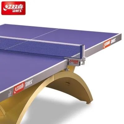 Настольный теннис Теннисный стол профессиональный DHS T1223 RAINBOW