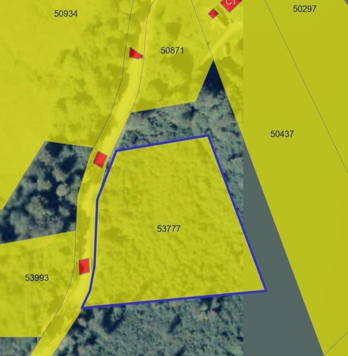 Teren extravilan în comuna Suncuius 9500m2