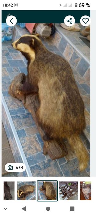 Vând taximetrie,jder,castor,fazan, acvila