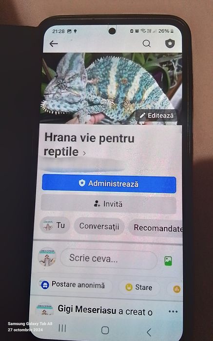 vierm de faina Superworms  și Gândaci Dubia