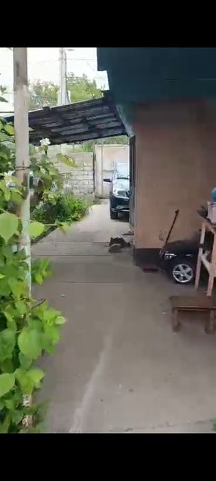 Продается дача на Кайнар Булаке