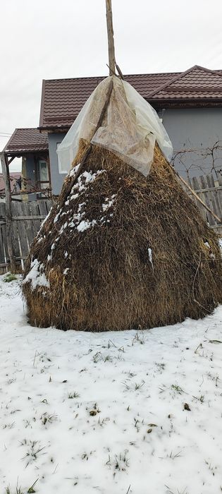 De vînzare fîn și otavă .